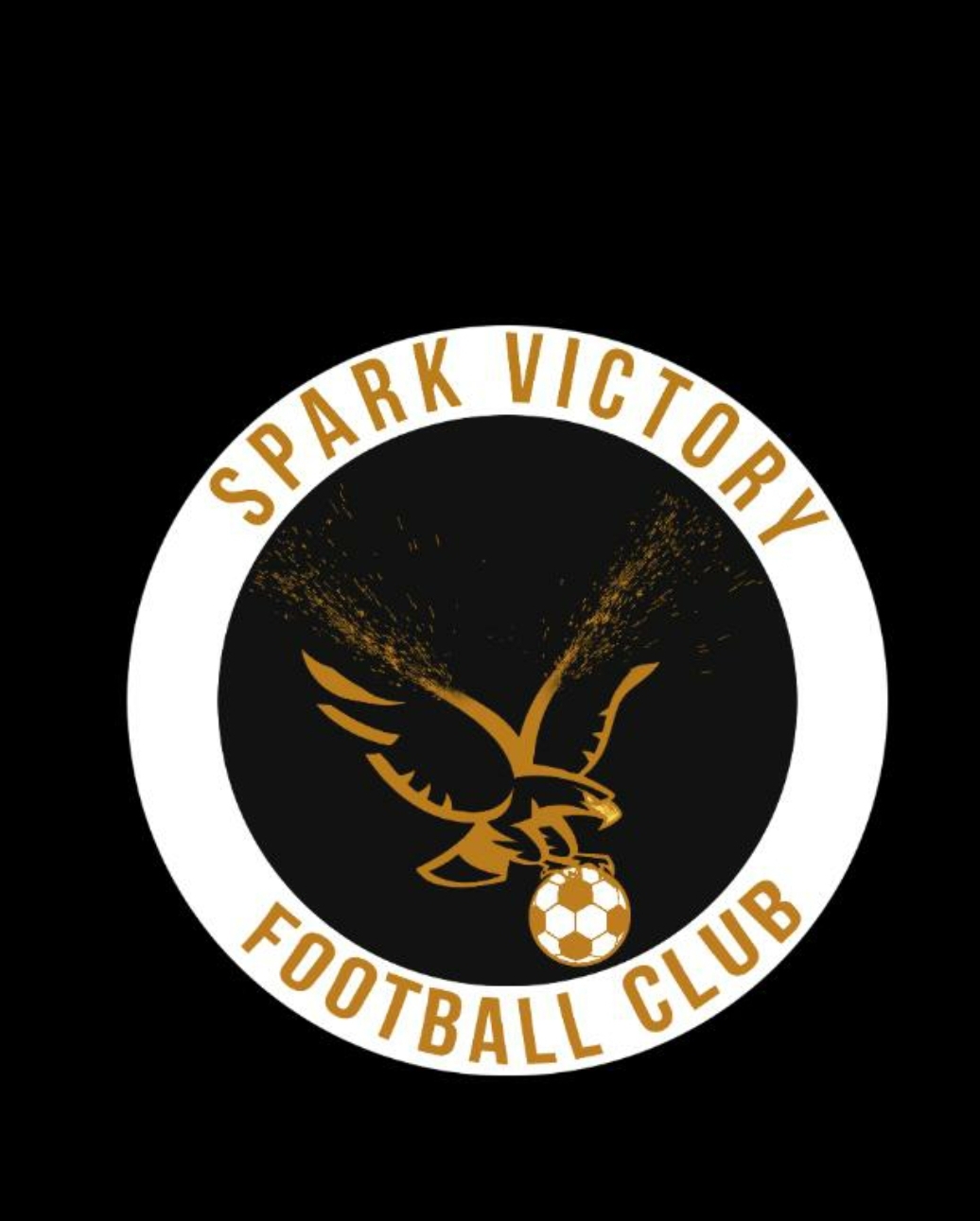SPARK VICTORY